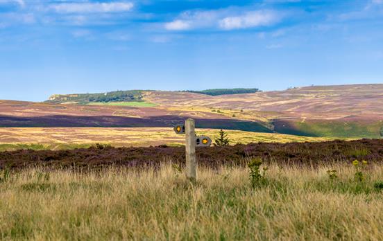 Explore the North York Moors national park