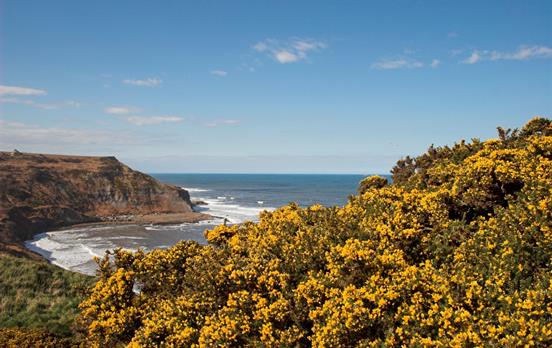 Far-reaching coastal views