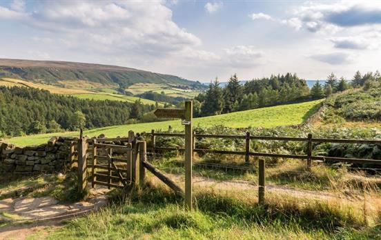 Cleveland Way near Clay Bank Top