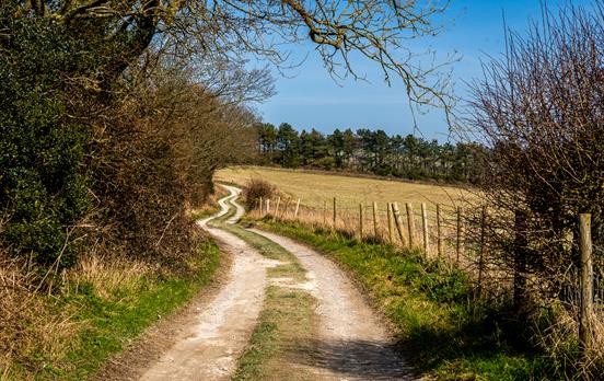 Classic chalk bridleway of the South Downs Way