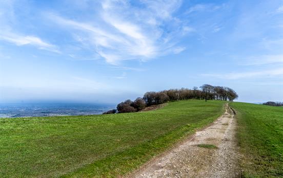 Ridge path towards Chanctonbury Ring