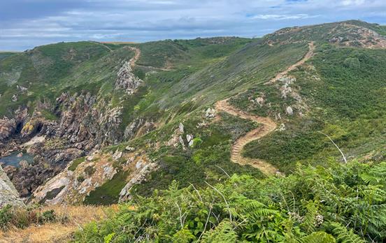 Trail path as it snakes along the coast line