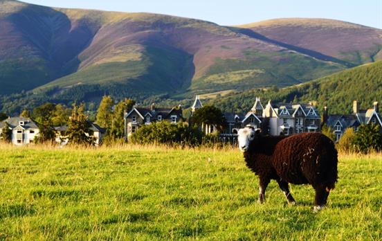 Meet the locals outside Keswick!