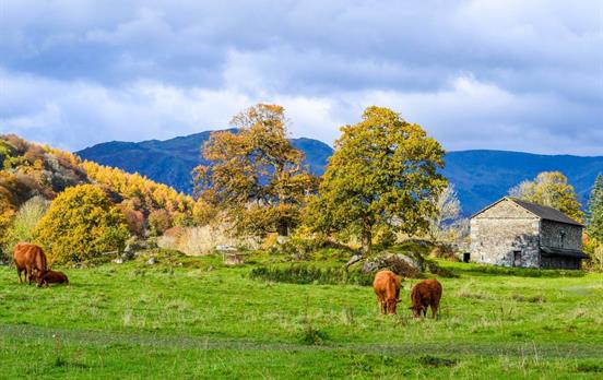 Enjoy walking through the tranquil countryside