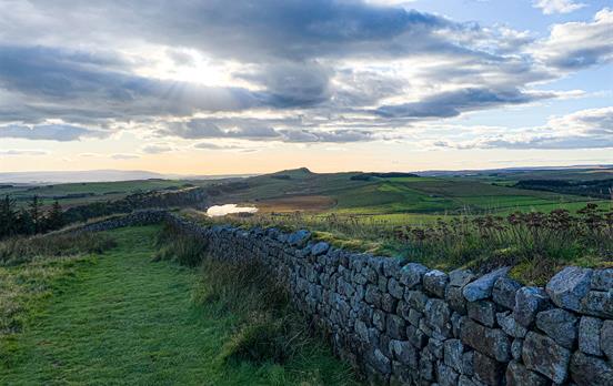 Natural beauty as the sun shines on the wall
