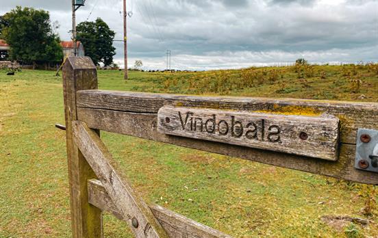 Gate to Vindobala
