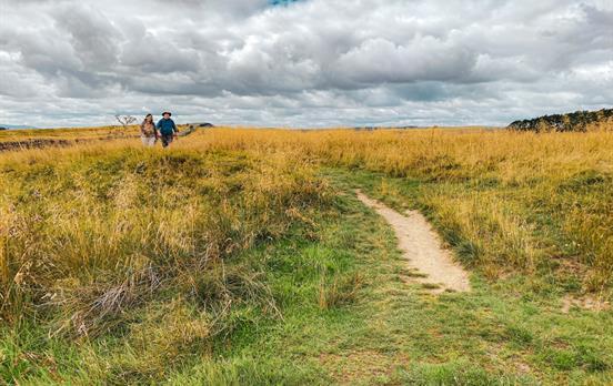 Path through field to Sewingshield Crags