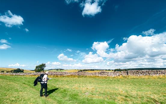Turf wall near Birdoswald