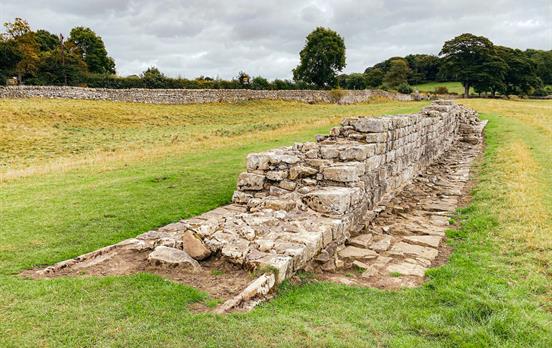 Planetrees Roman Wall