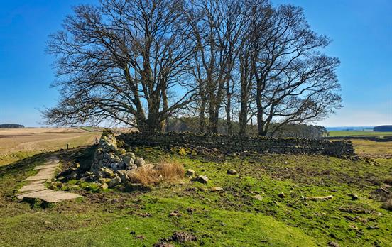 Pretty paths near Humshaugh