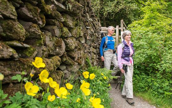 Beautiful walks with boutique accommodation