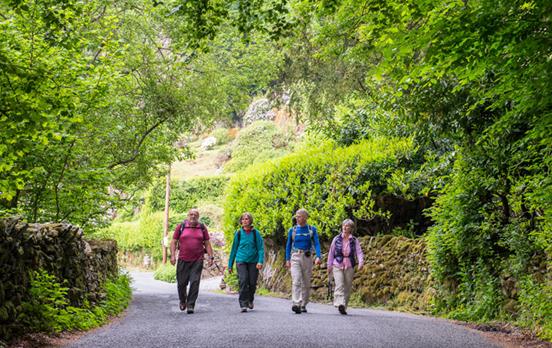 Enjoy great camaraderie along the way