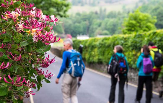 Peaceful walks in the Lake District