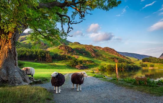 The Lake District bursting with colour