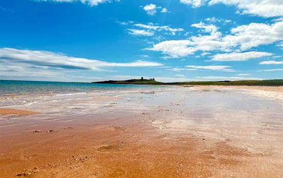 Northumberland is home to vast unspoilt beaches