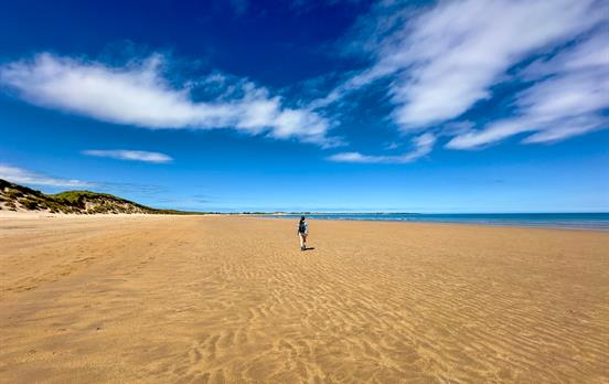 Northumberland is home to vast unspoilt beaches