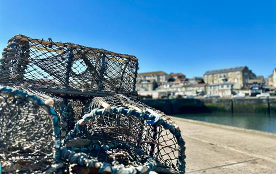 Fishing pots at Seahouses harbour