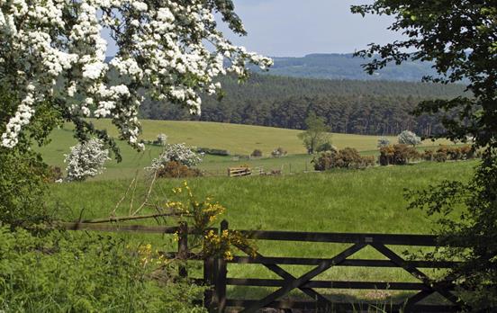 Rural countryside on the Northumberland Coastal Pa