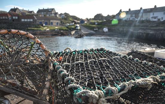 Nets catching the famous Craster Kippers