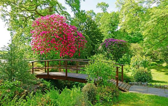 Blühende Gärten sind Markenzeichen Cornwalls