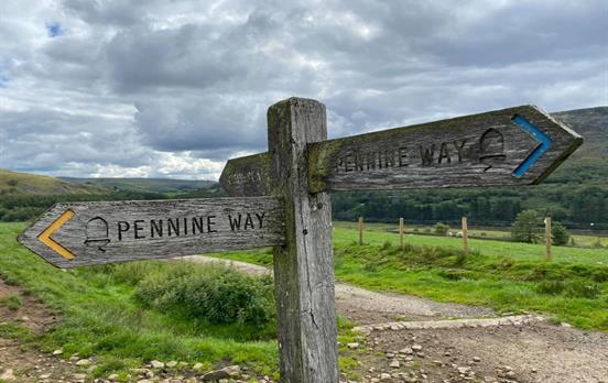 Clear Signposts - Photographer: David Stott
