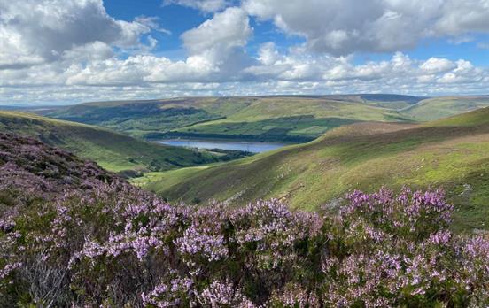 Views over Torside - Photographer: David Stott