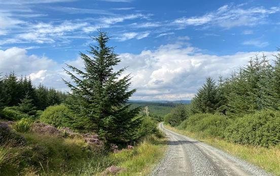 An old drovers road : Photographer David Stott