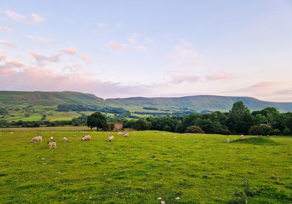 Sheep pasture in Edale