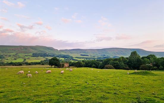 Sheep pasture in Edale