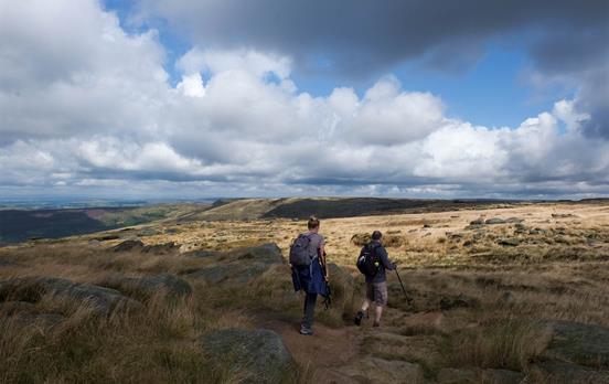Shifting light on the landscapes