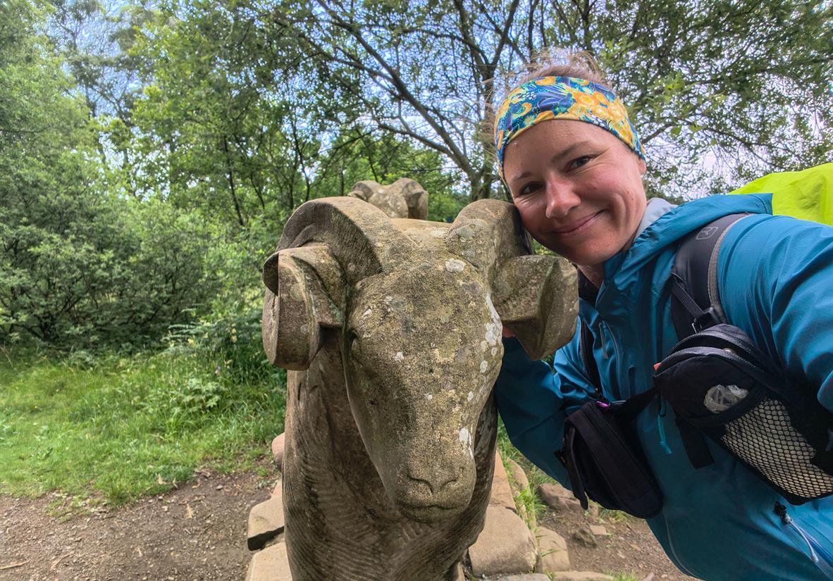 Stone sheep sculptures