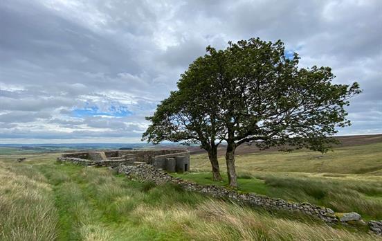Top Withins - Photo: David Stott