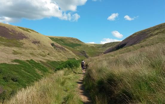 Moorland of the "Dark Peak"