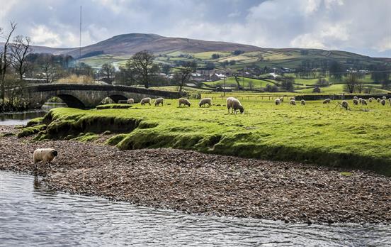 The rolling hills of Wensleydale