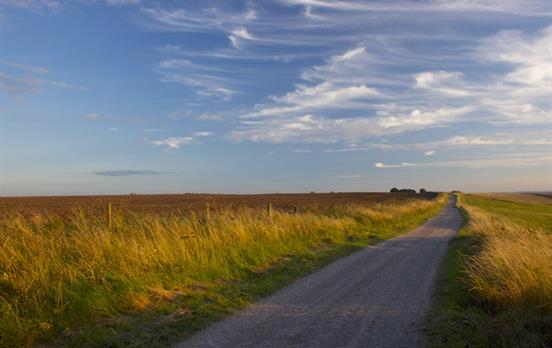 Ridgeway is one the less trodden national trails
