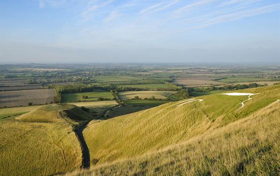 Escarpment not far from the white horse in Wantage
