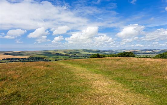 Follow droveway paths all along the South Downs