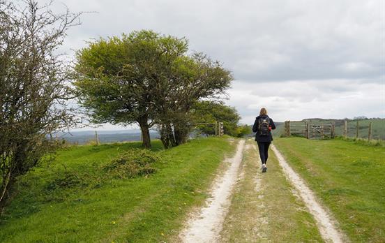 SouthDownsWay-day3EastMeontoCockingcopy