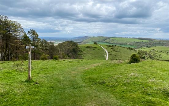 Paths from East Meon to Cocking