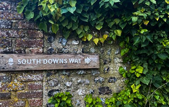 Pretty South Downs Way signage