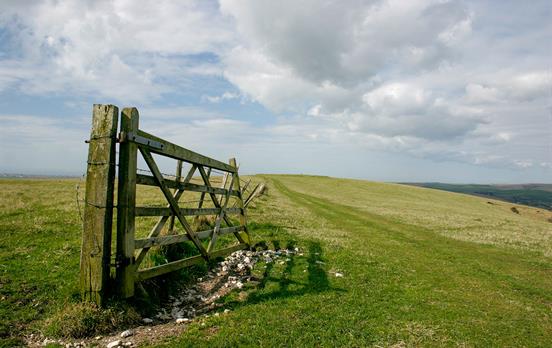 Example of the trail on South Downs Way