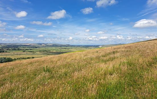 Views to South Ease