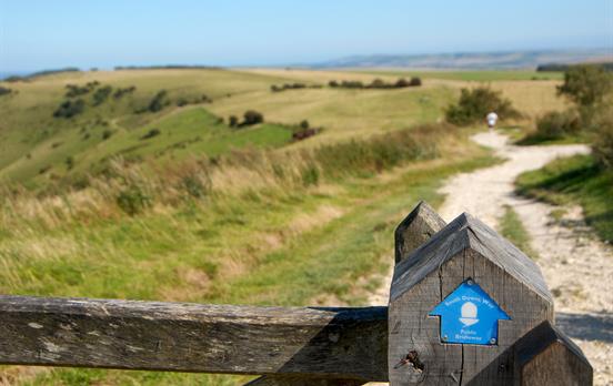 South Downs Way waymarking will keep you on track