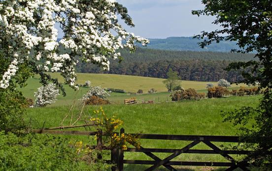 The countryside of Northumberland