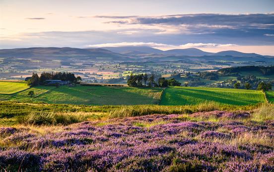 Walk through classic English countryside