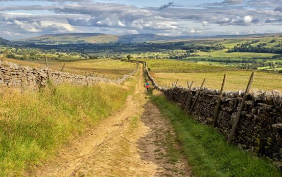 Classic Wensleydale landscapes
