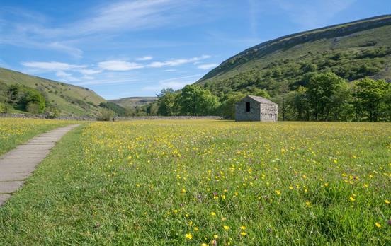 The vibrant Swaledale hay meadows