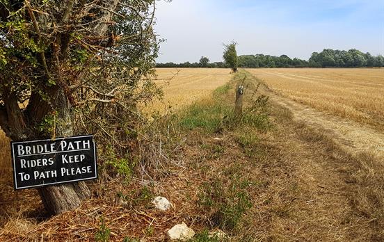 Walk along classic English bridle paths
