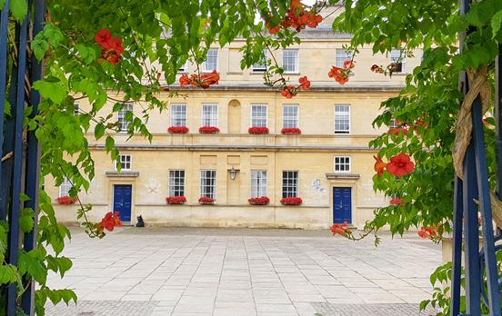 The magnificent Trinity Gardens