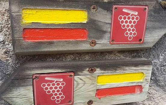 Vineyard Trail Marking